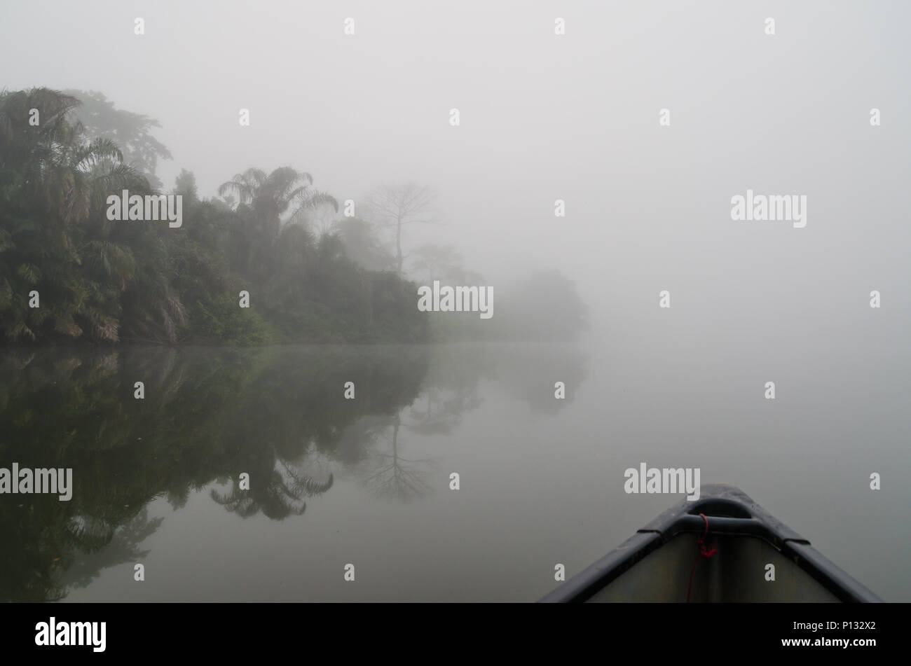 Überschreiten die Moa River mit dem Kanu zu Tiwai Island Wildlife Sanctuary bei Nebel am frühen Morgen, Sierra Leone, Afrika Stockfoto