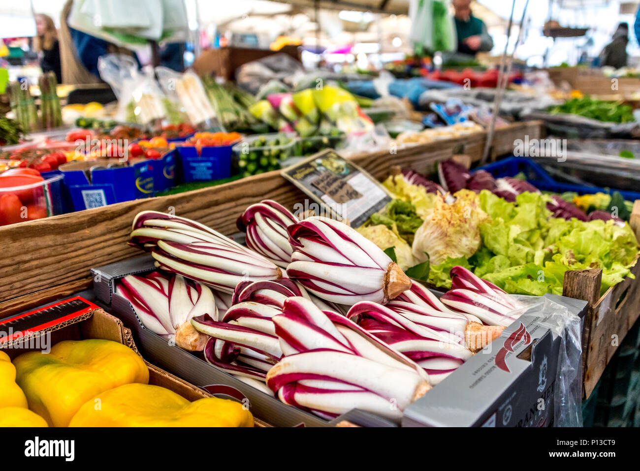 Schöne Radicchio und anderen bunten produzieren im Campo de Fiori im freien Markt in Rom, Gemüse in Kartons für Verkauf, Tomaten, Kopfsalat auf dem Display. Stockfoto