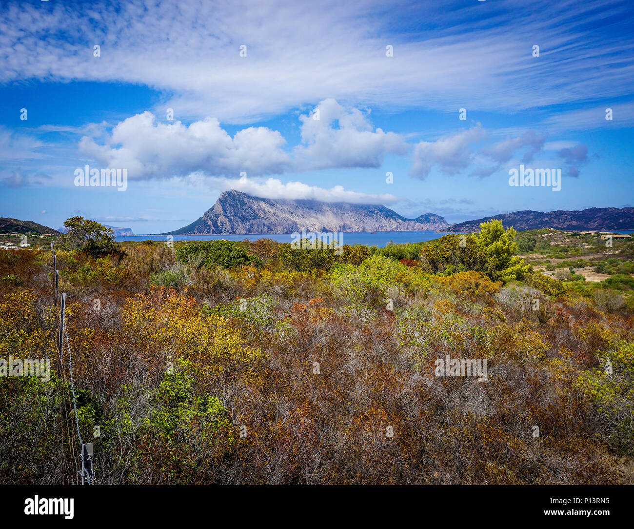 Sardinien Hchster Berg