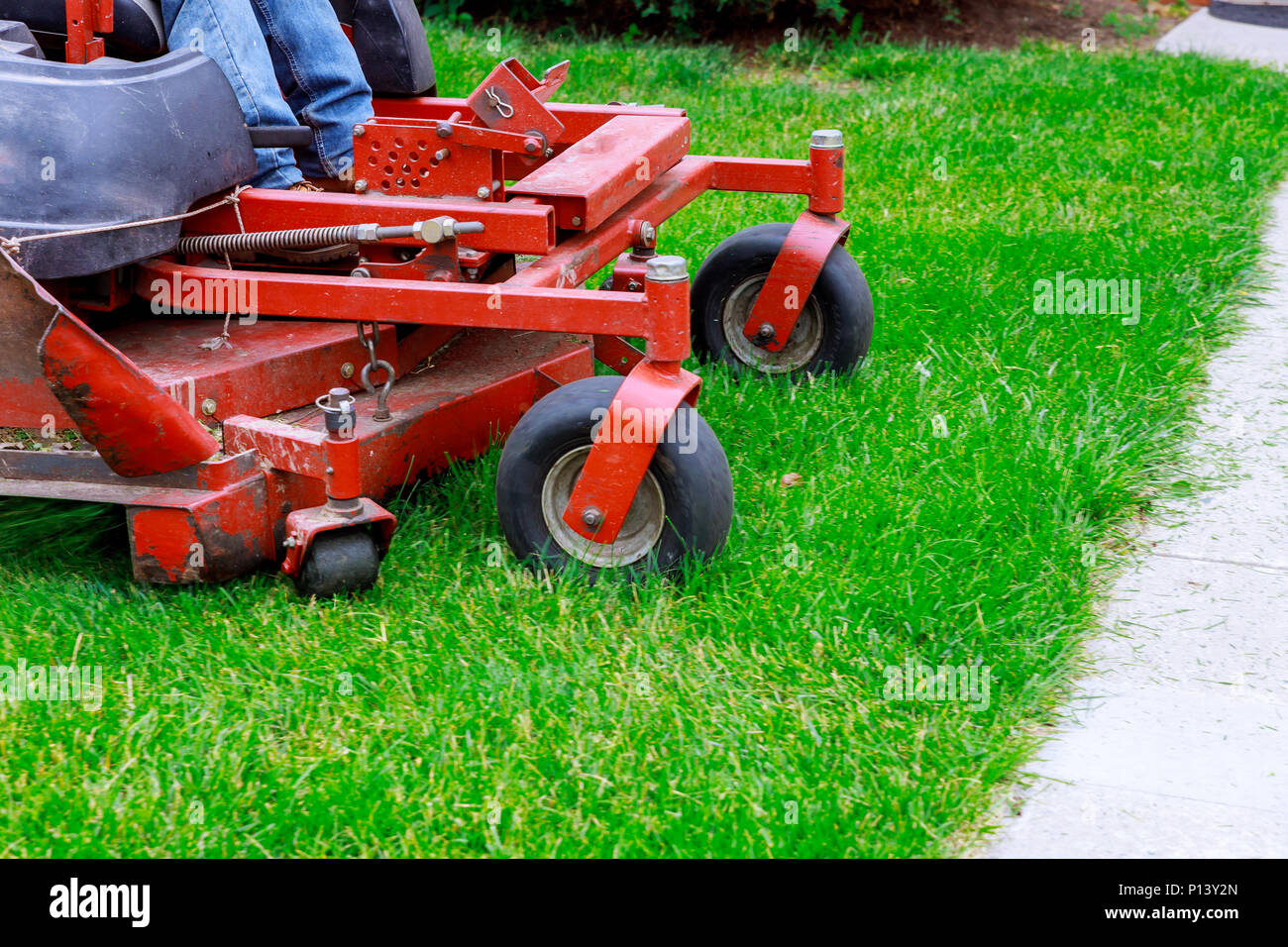 Nahaufnahme von roten Rasenmäher Schneiden von Gras. Gartenarbeit Konzept Hintergrund Stockfoto