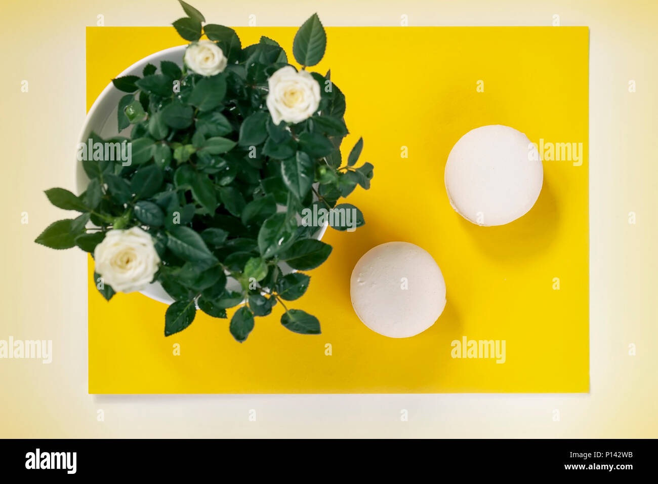 Zwei cream Macarons und weißen Blumen, Rosen auf gelben Hintergrund. Romantische morgen, Geschenk, für die geliebten zu Ostern, Valentin, Mütter, Tag der Frauen vorhanden Stockfoto