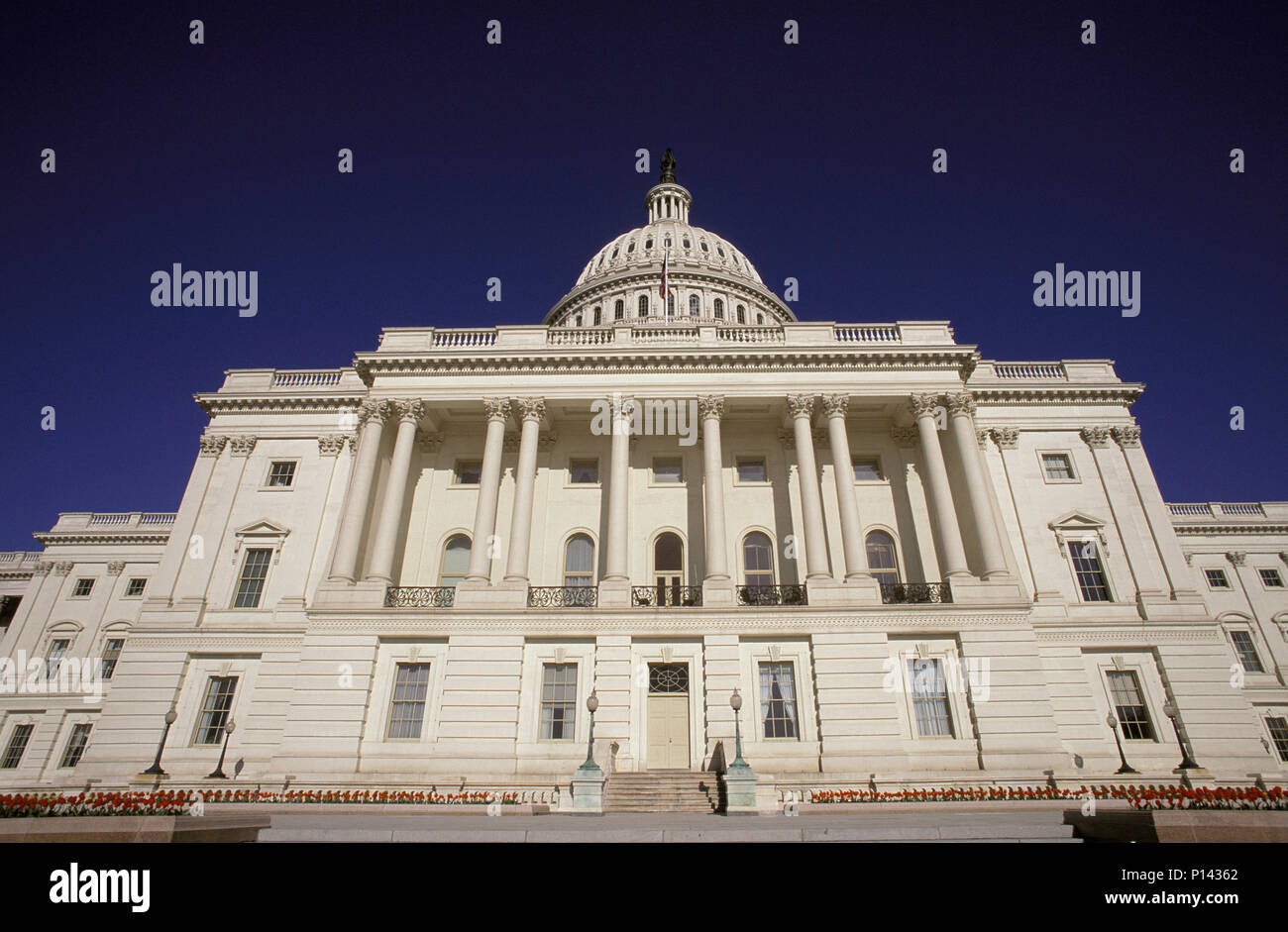 Die Kuppel des US Capitol Gebäude, frontale Ansicht des zentralen Baustein, suchen, Washington, DC, USA Stockfoto