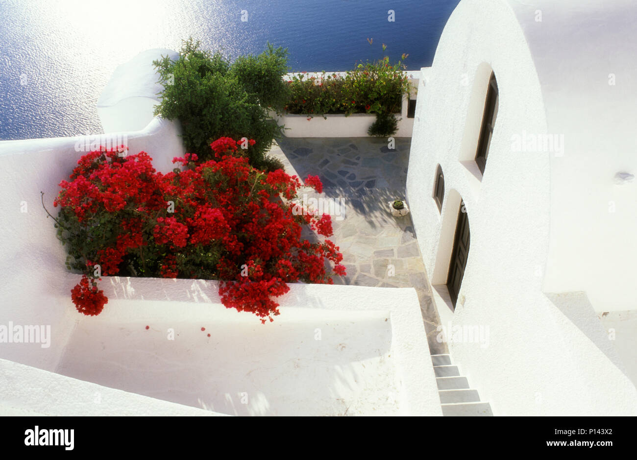 Griechische Insel Thira (Santorini), vernacular weißen Architektur in Thira mit bewertet Dach und Terrasse und rot Bougainvillea, mit Blue Ocean, Griechenland Stockfoto