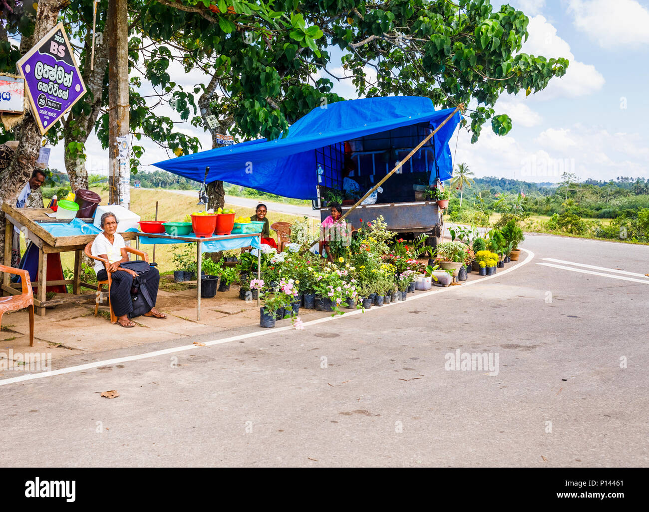 Sri Lankan Frauen sitzen eher eine typische am Straßenrand stand, die Blumen, Obst und lokalen Produkten, Horagampita Bezirk, in der Nähe von Galle, Sri Lanka Stockfoto