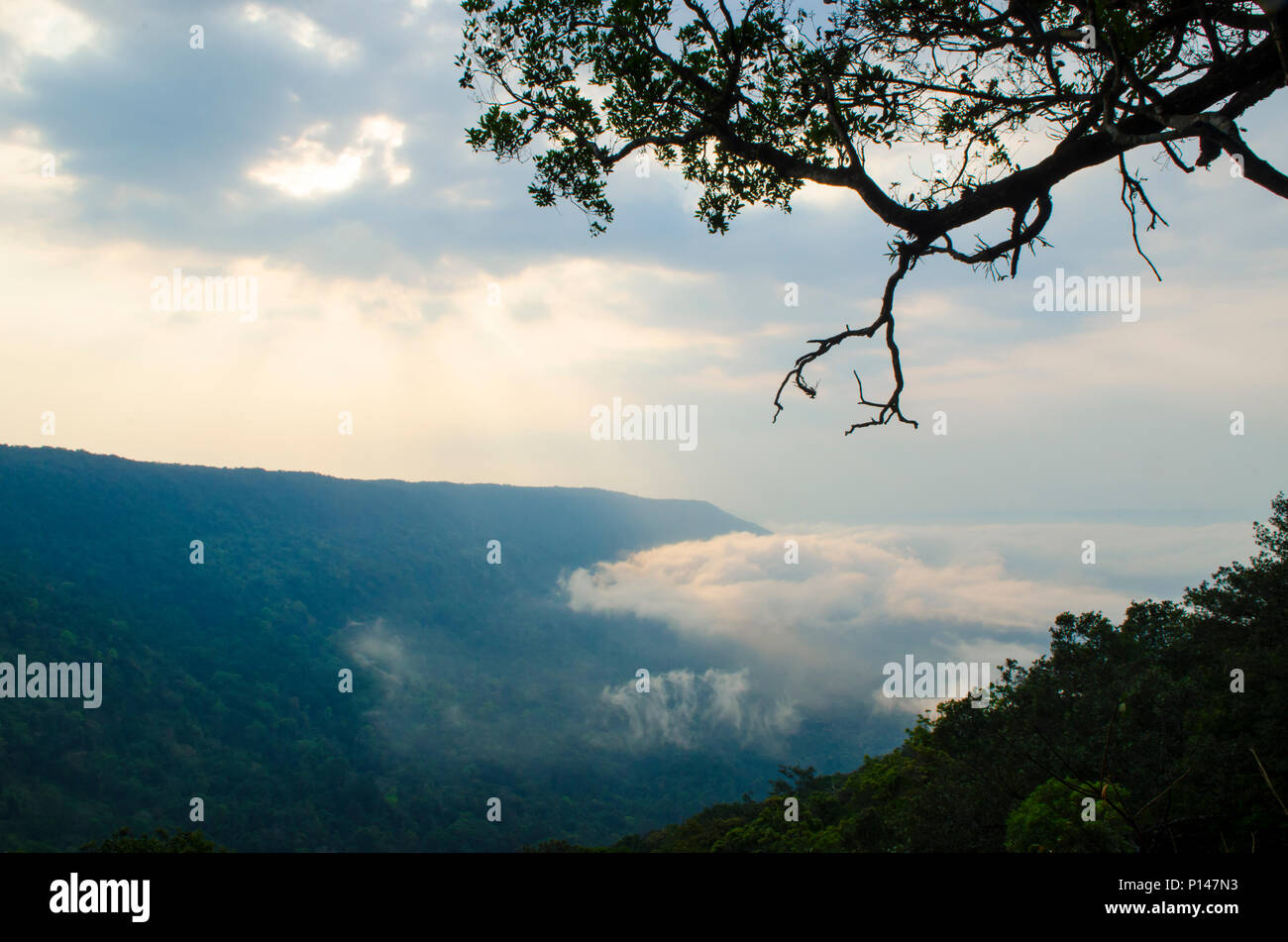 Panorama Ansicht Pha Deaw Dai Klippen der Khao Yai Nationalpark in Thailand Stockfoto