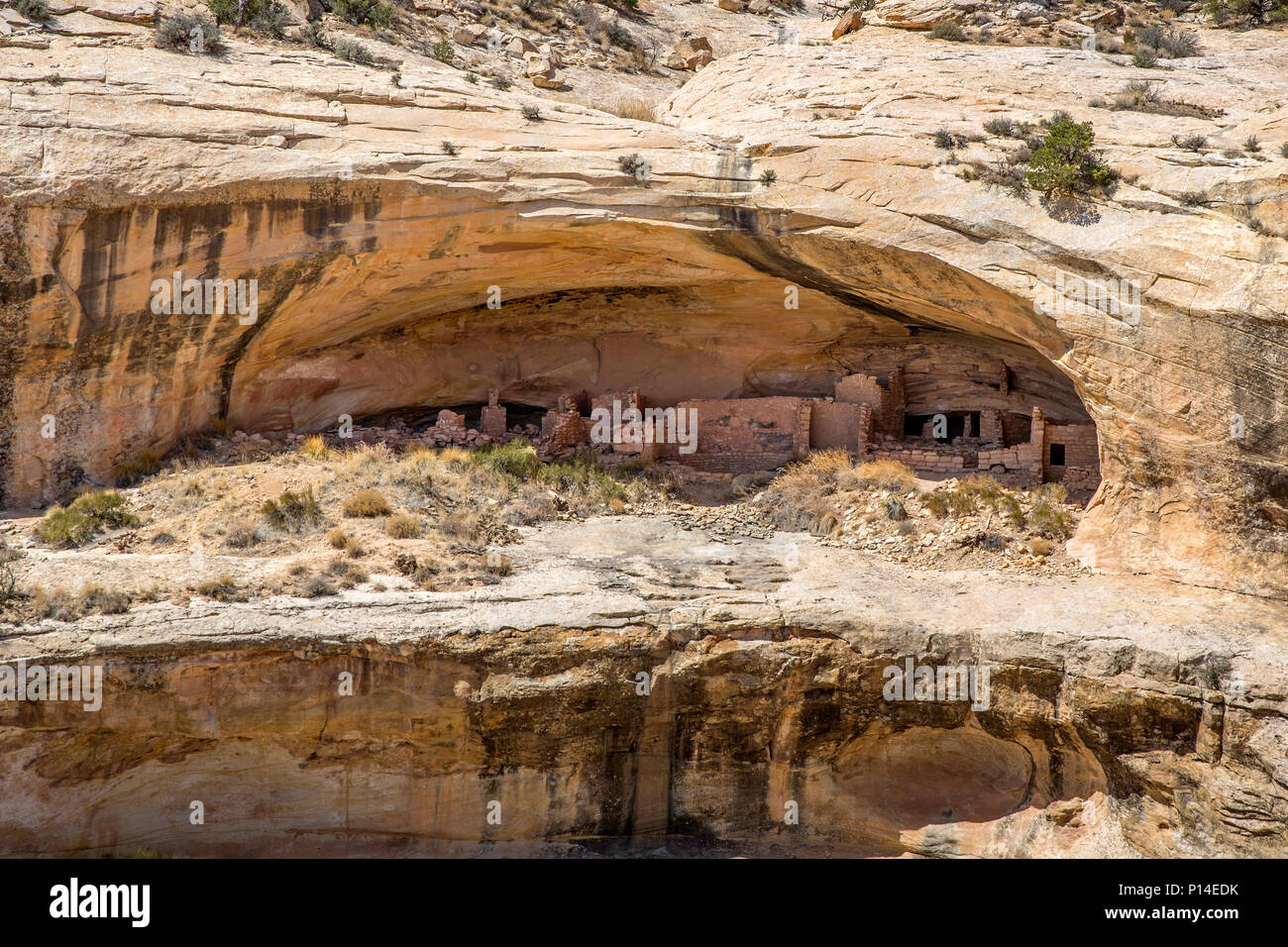 Ancestral Puebloan Cliff dwellings entlang der Butler Wash von Bären Ohren National Monument im Südosten, Utah Stockfoto