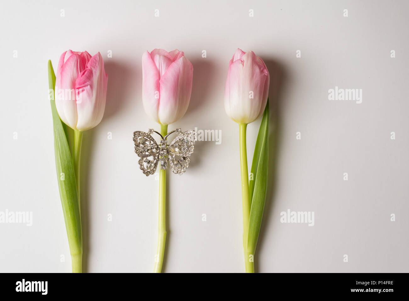 Tulpen auf dem weißen Hintergrund Stockfoto