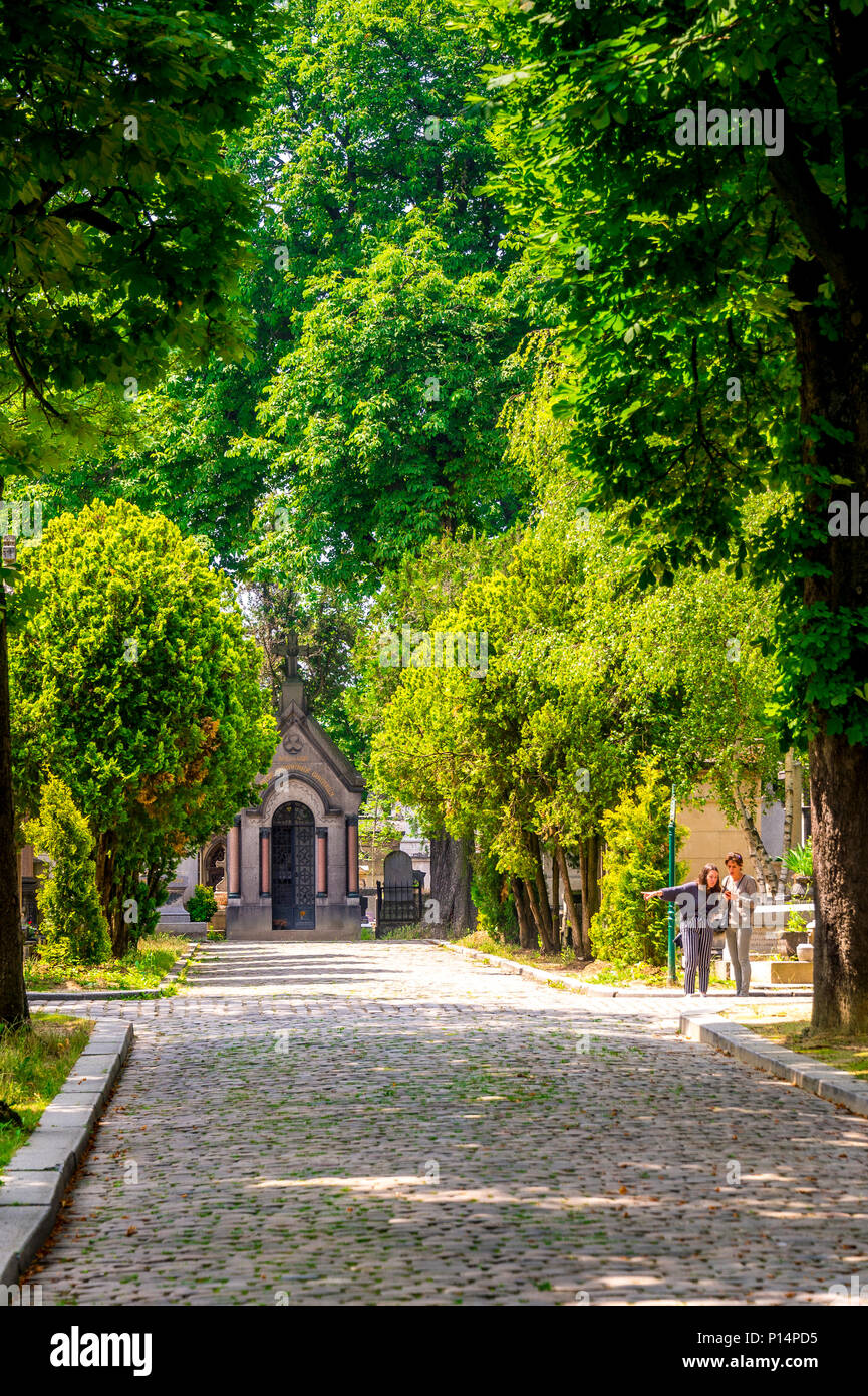 Die breiten, von Bäumen gesäumten Straßen des Friedhofs Père Lachaise sind im Sommer ein idealer Ort für einen Spaziergang. Paris, Frankreich Stockfoto