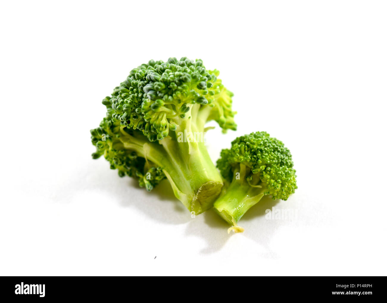Organic Green Brokkoli auf weißem Hintergrund Stockfoto