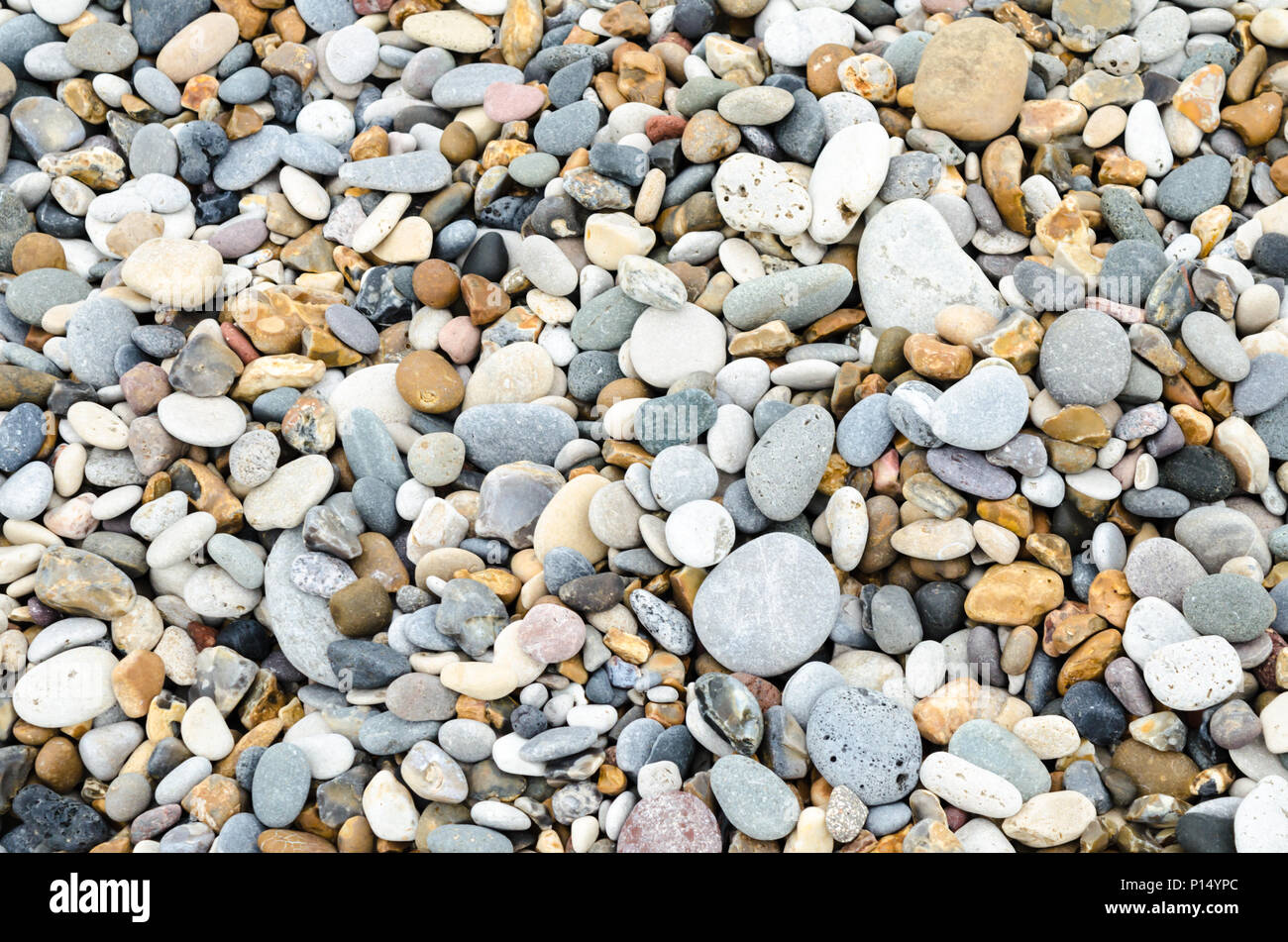 Verschiedene kleine Kieselsteine am Strand Stockfoto