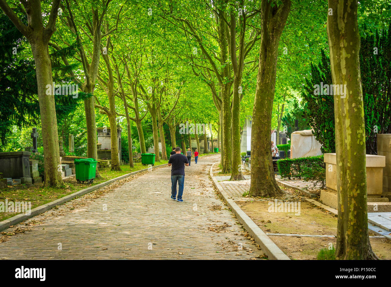Die breiten, von Bäumen gesäumten Straßen des Friedhofs Père Lachaise sind im Sommer ein idealer Ort für einen Spaziergang. Paris, Frankreich Stockfoto