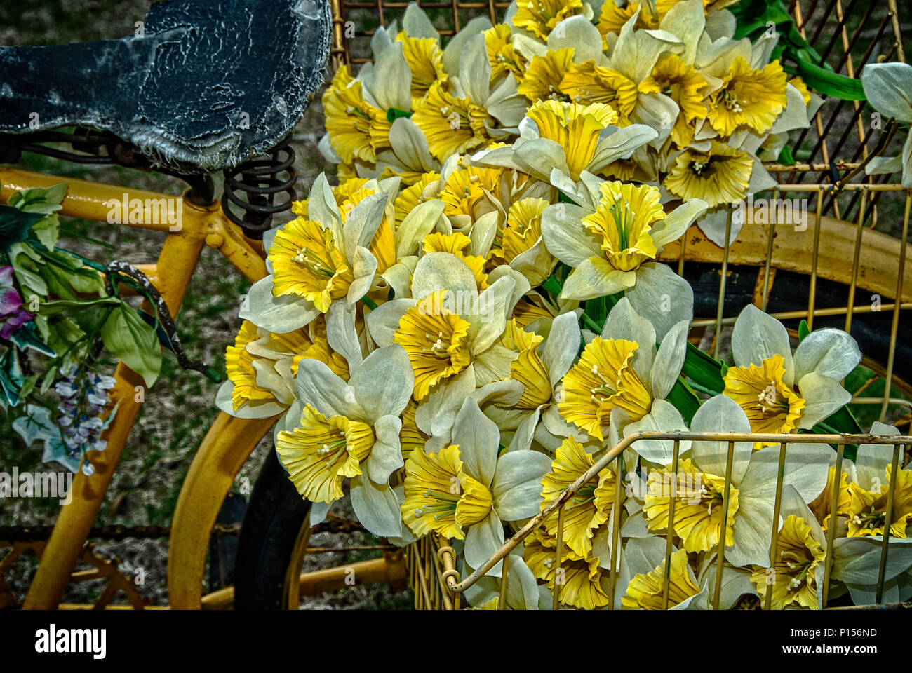 Altes Fahrrad und Gelbe Blumen Stockfotografie - Alamy