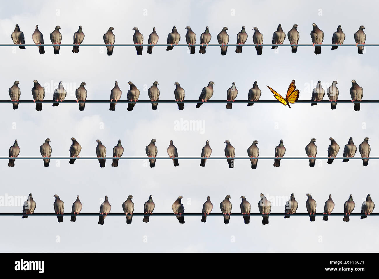 Newcomer Konzept und Migration Idee als Mexikaner monarch butterfly am Draht mit einer Gruppe von städtischen nördlichen Tauben mit 3D-Illustration Elemente. Stockfoto