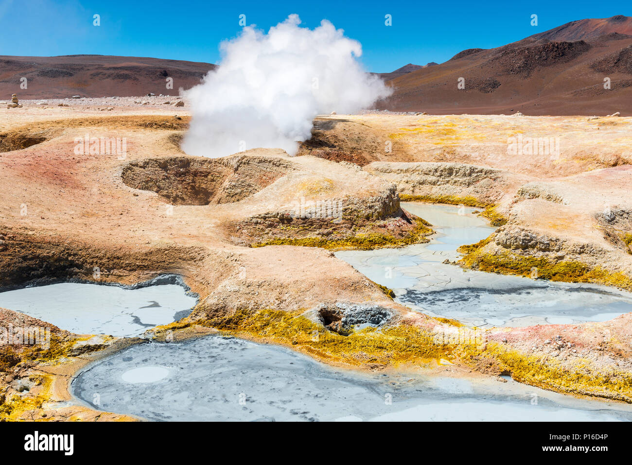 Die geothermische und vulkanische Aktivität von Sol de Manana in der Eduardo Avaroa finden zwischen dem Salzsee von Uyuni und die Atacama Wüste, Bolivien. Stockfoto