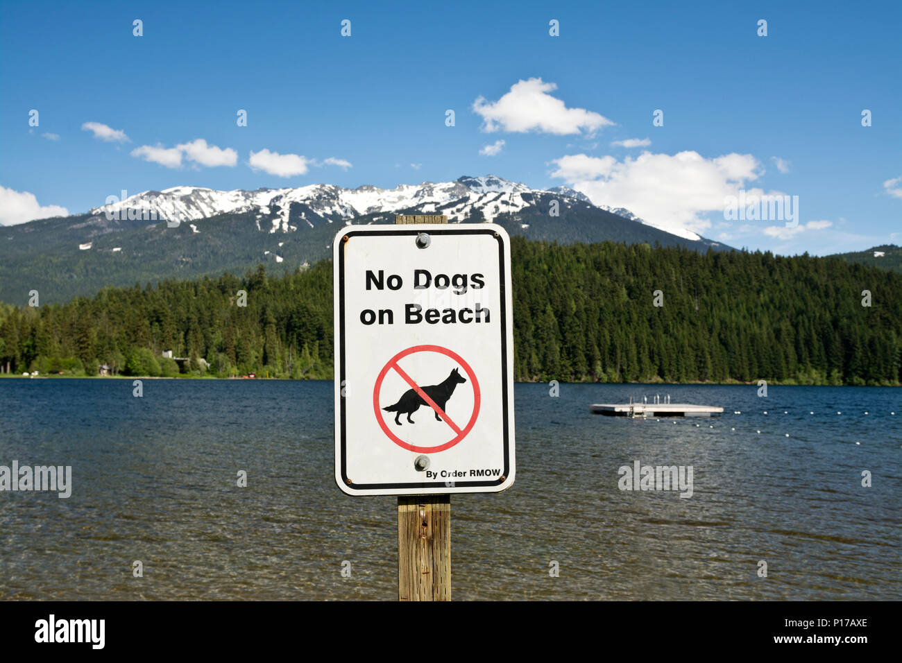'Keine Hunde am Strand' Schild am Alta See in Whistler, BC, Kanada. Stockfoto