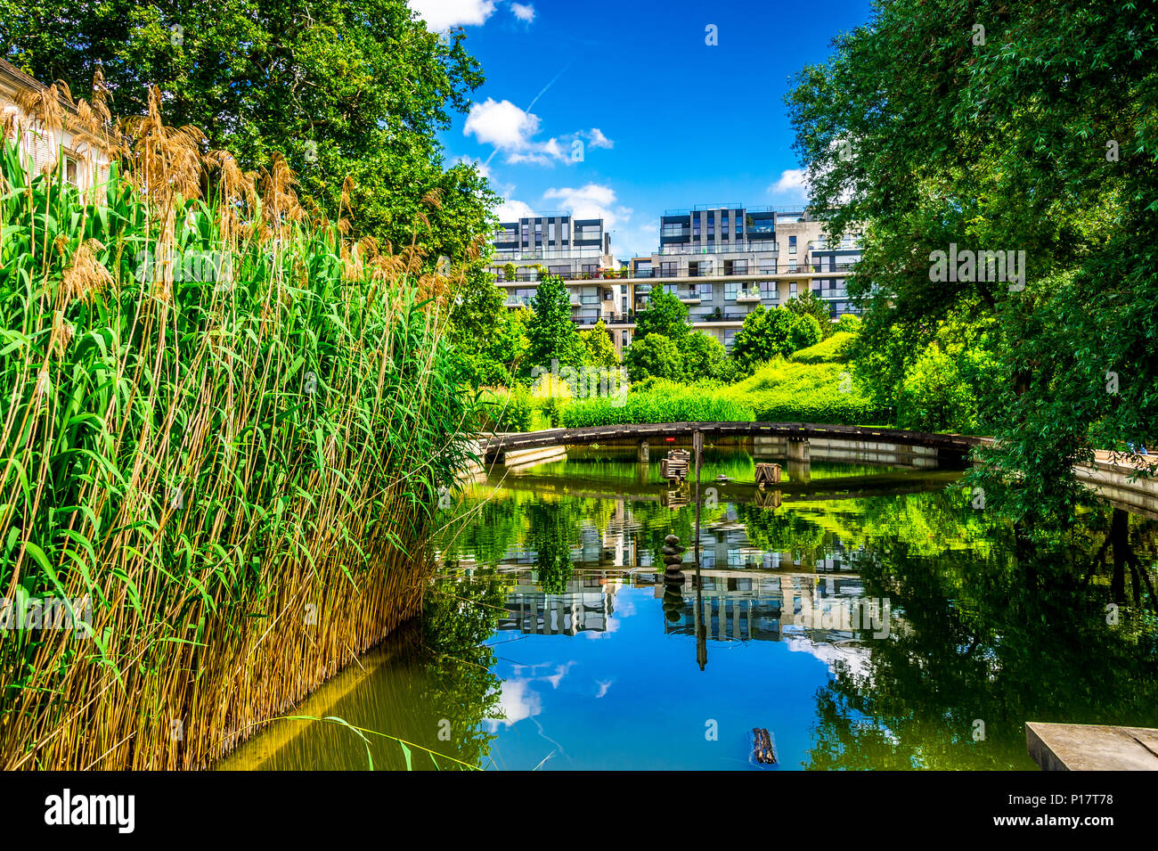 Der Parc de Bercy ist ein großer und abwechslungsreicher Park in Paris, Frankreich Stockfoto