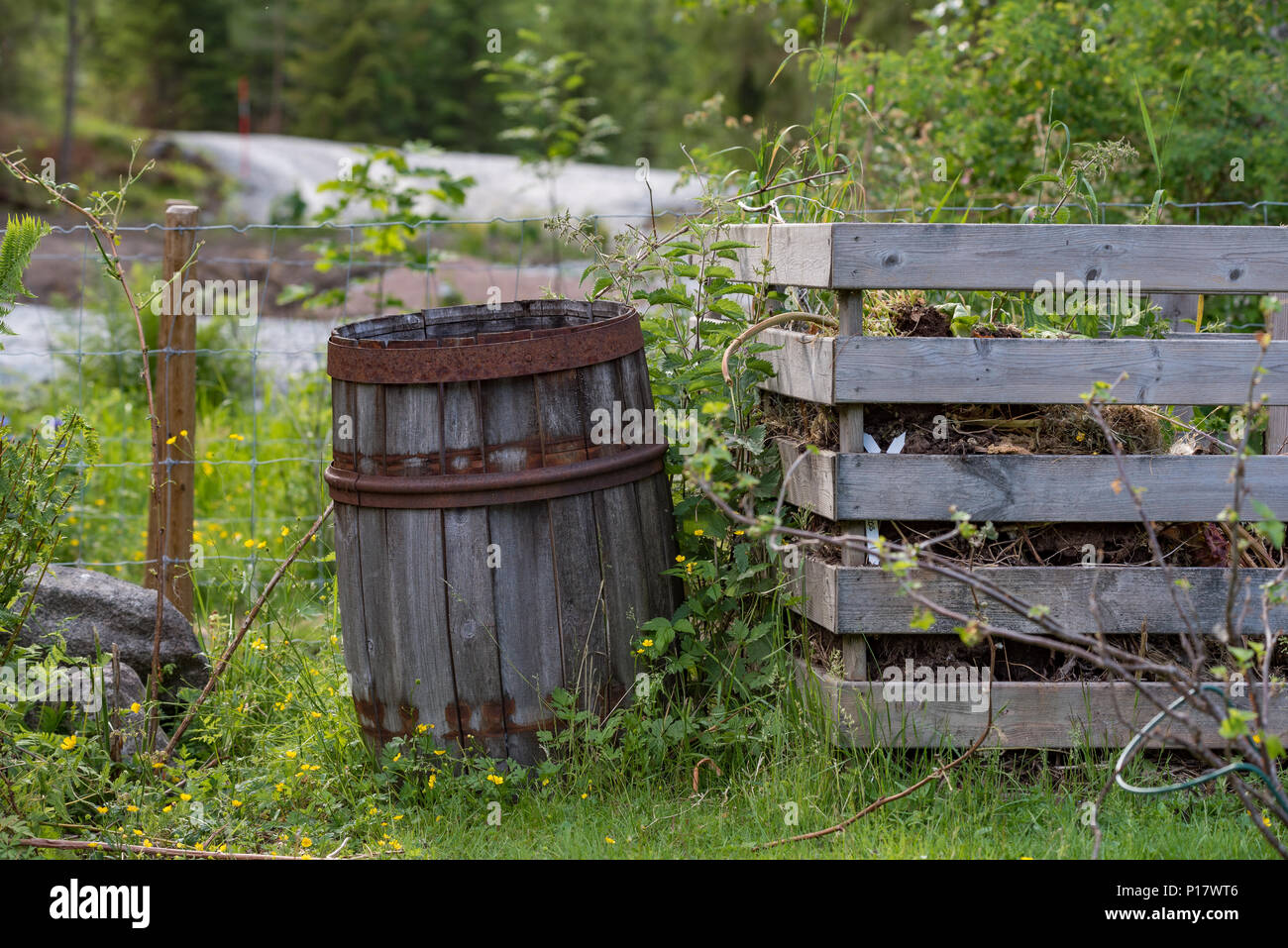 Alten Holzfass Standig Neben Einem Garten Kompost Stockfoto Bild