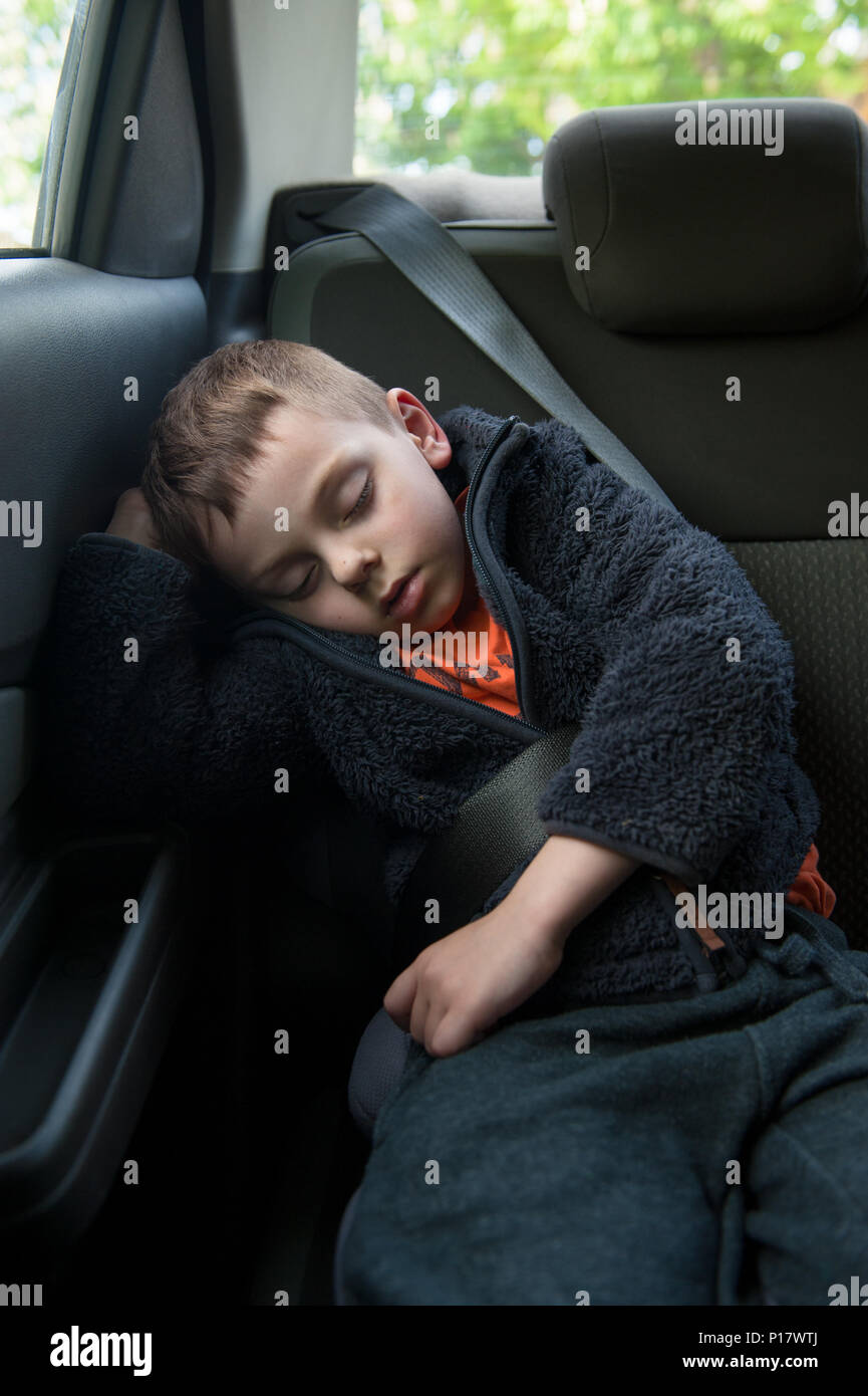 Süßes kleines Kind schlafen im Auto mit Sicherheitsgurt für Sicherheit  während der Reise befestigt Stockfotografie - Alamy