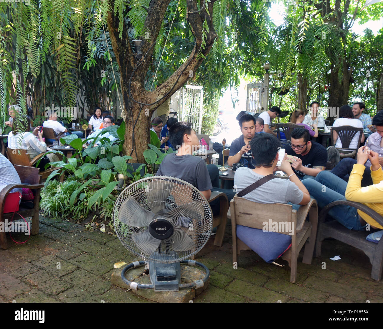 Die Menschen genießen den Schatten in der Farn Wald Cafe, Chiang Mai, Thailand. Keine MR oder PR Stockfoto