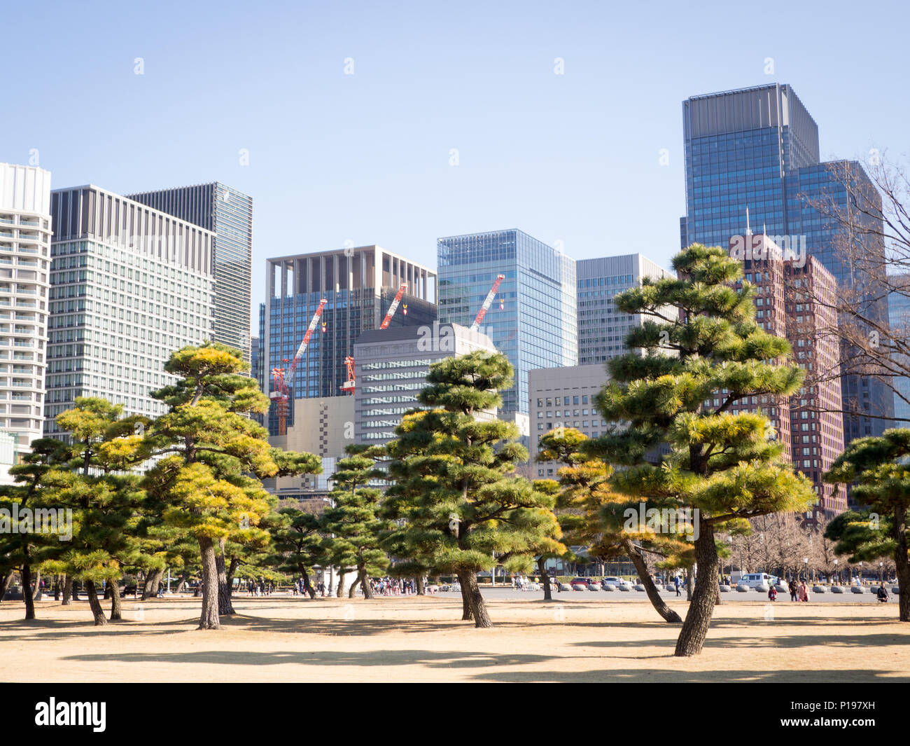 Tokio Skyline Park Hochhaus Kontrast Landschaft Stockfoto