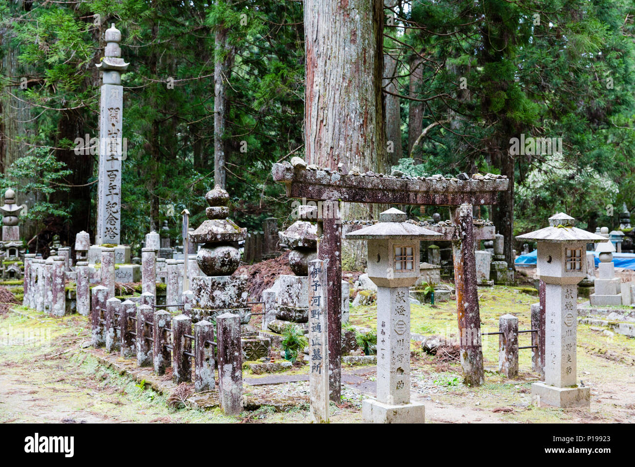 Stein Torii-tor in Okunoin Friedhof, Koyasan, Japan. Stockfoto