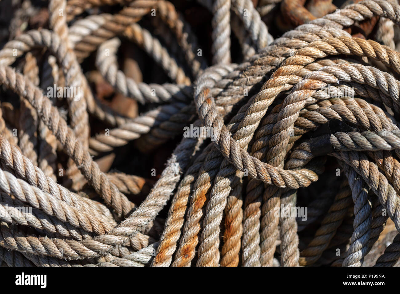 Haufen Seil; Taarbaek, Dänemark Stockfoto