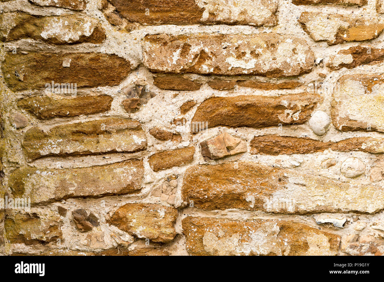 Corraline crag Stein rock im Gebäude des Dorfes Pfarrkirche verwendet, St. Johannes der Täufer, Butley, Suffolk, England, Großbritannien Stockfoto