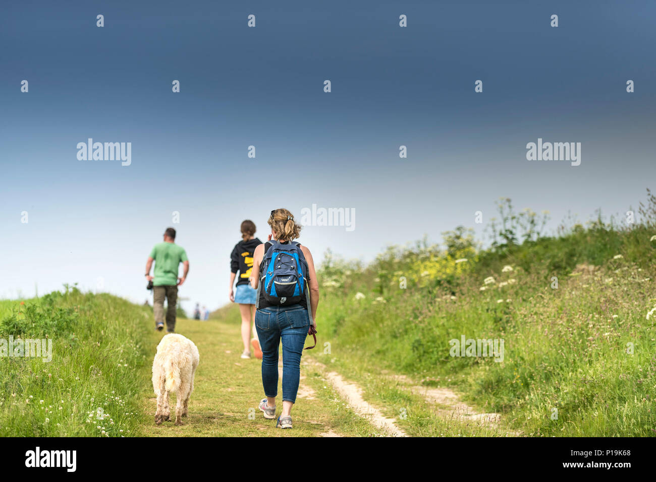Menschen und ihren Hund zu Fuß an den Rand eines Feldes. Stockfoto