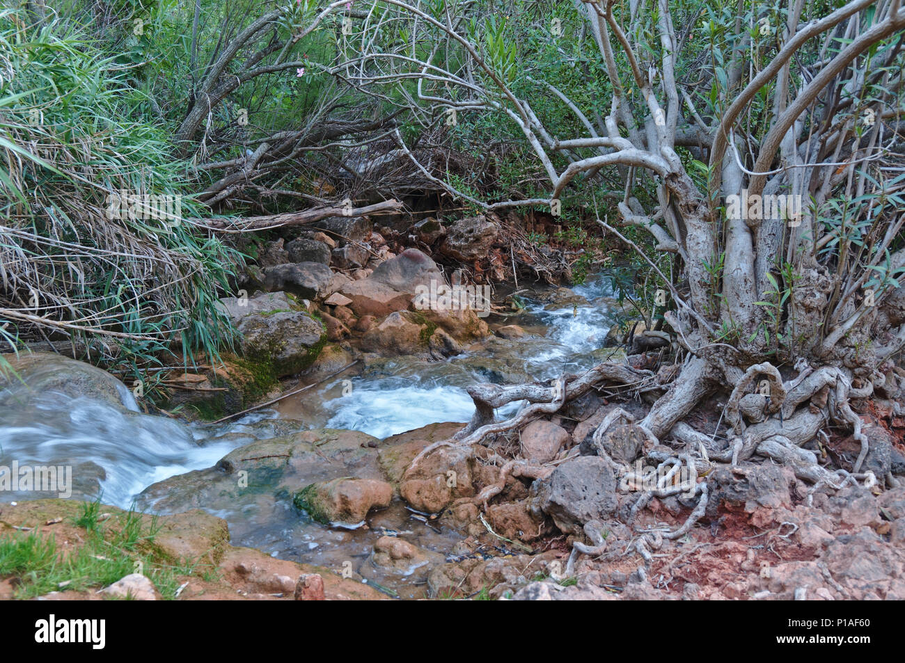 Queda do Vigario Wasserfall in Alte. Algarve, Portugal Stockfoto