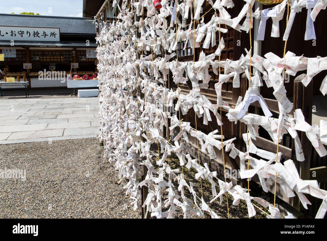 Papier Omikuji Vermögen im Yasaka Schrein, Kyoto, Japan gebunden. Stockfoto
