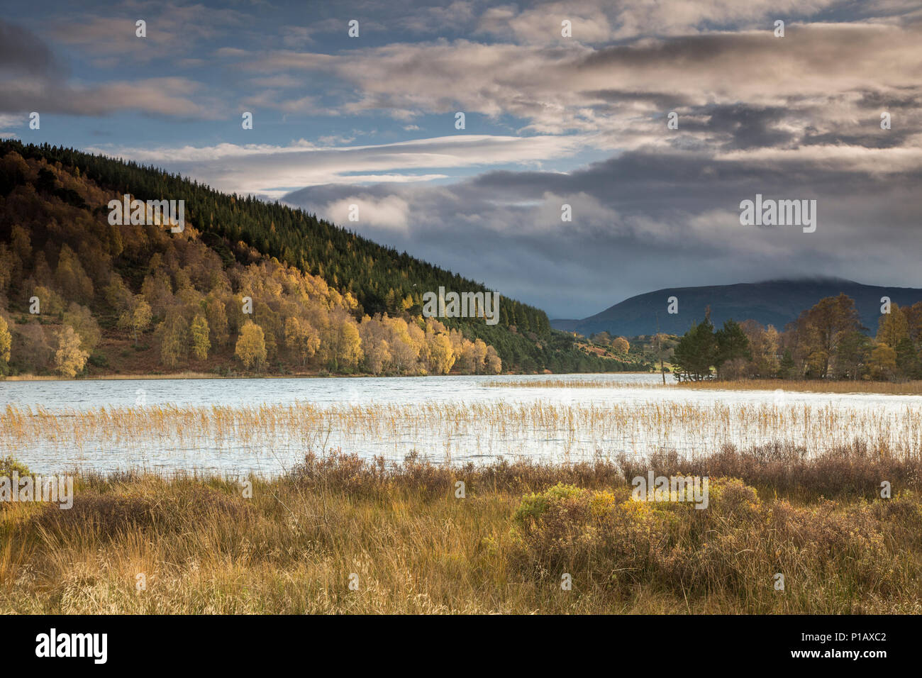Ruhige, idyllische Landschaft mit Hügeln und See, Loch Pityoulish, Aviemore, Schottland Stockfoto