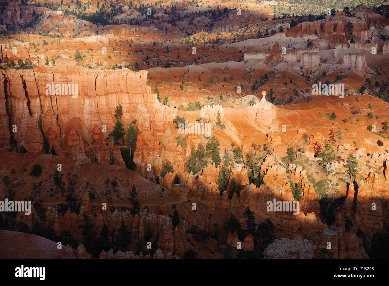 Dramatische am späten Nachmittag Licht auf Bryce Amphitheater, Utah, USA. Wanderer auf dem Trail im unteren Teil des Bildes. Stockfoto