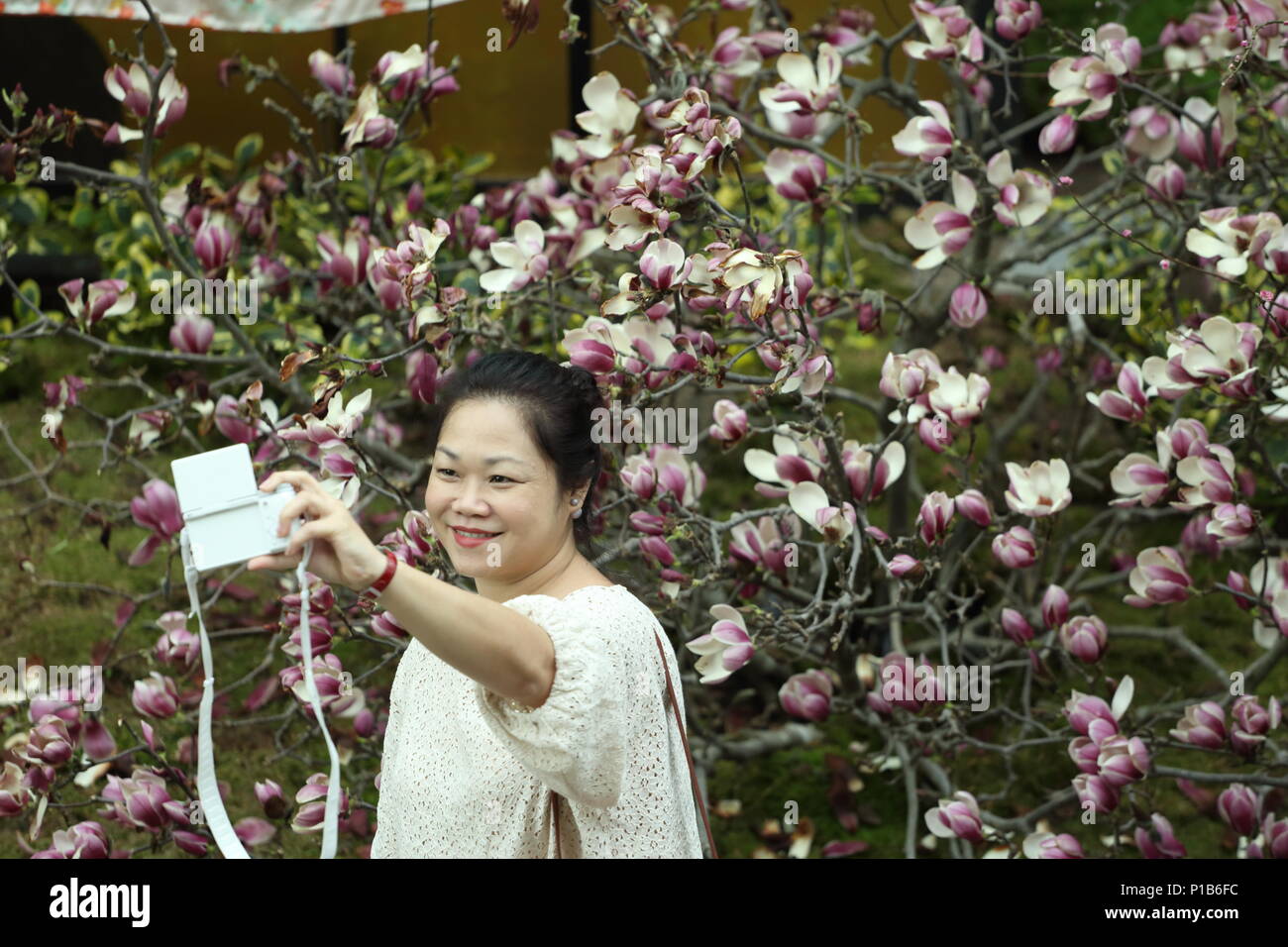 Eine lächelnde chinesische asiatische Dame, die ein Selfie im Flower Dome, Gardens by the Bay in Singapur macht. Stockfoto