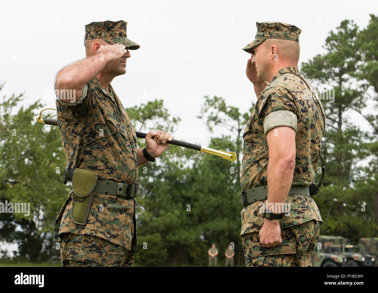Us Marine Corps Sgt. Maj. Michael S. Woods, Links, grüßt Oberst Matthew S. Reid, kommandierender Offizier, 6 Marine Regiment, 2nd Marine Division, während eine Erleichterung und Termin Zeremonie am Camp Lejeune, N.C., Oktober 6, 2016. Sgt. Maj. Michael S. Woods Befehl an Sgt aufgegeben. Maj. Darrell L. Carver während der Zeremonie. (U.S. Marine Corps Foto: Staff Sgt. Keonaona C. Paulo 2d MARDIV Bekämpfung der Kamera) Stockfoto