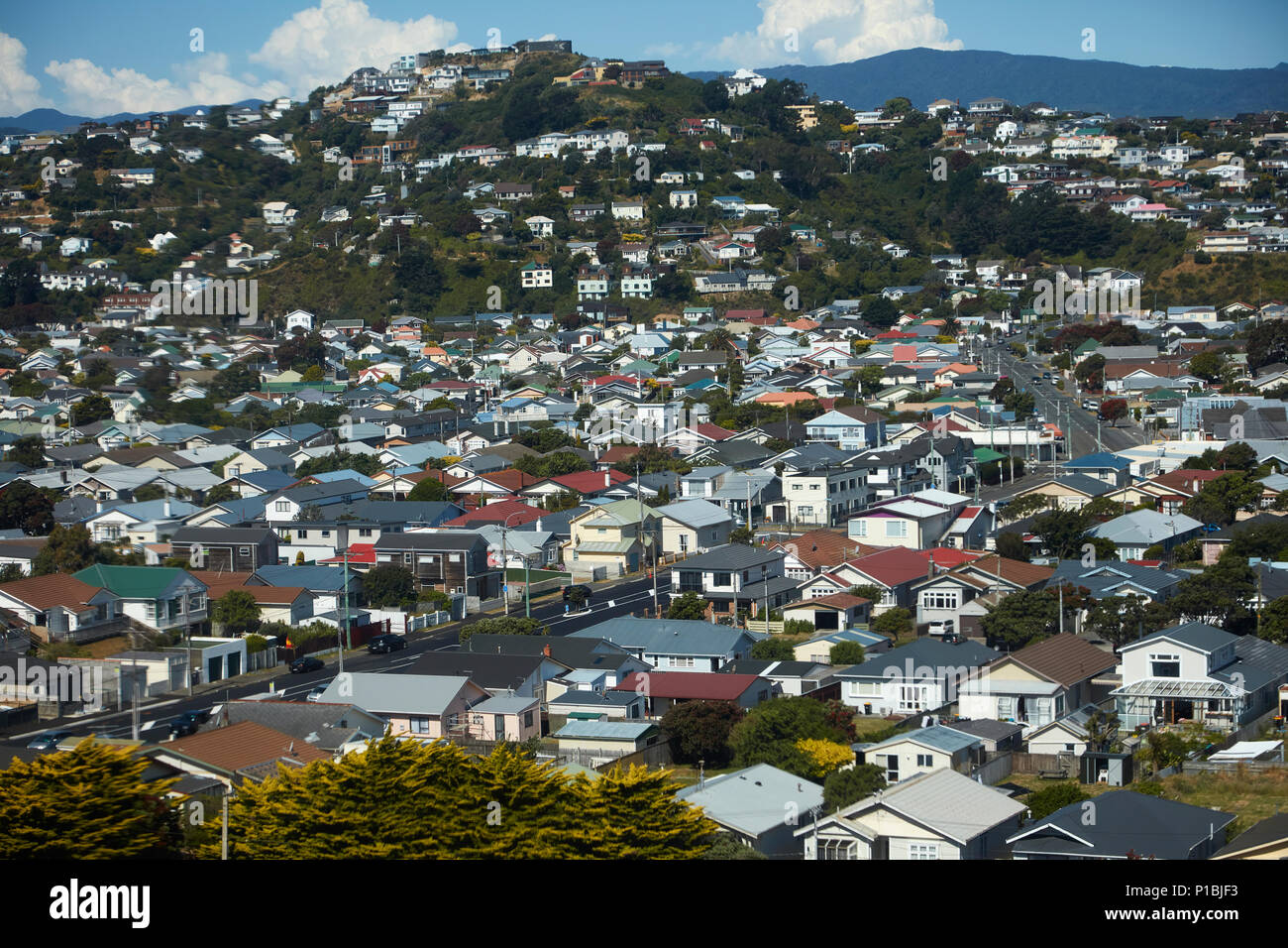 Häuser, Miramar, Wellington, Nordinsel, Neuseeland - Antenne Stockfoto