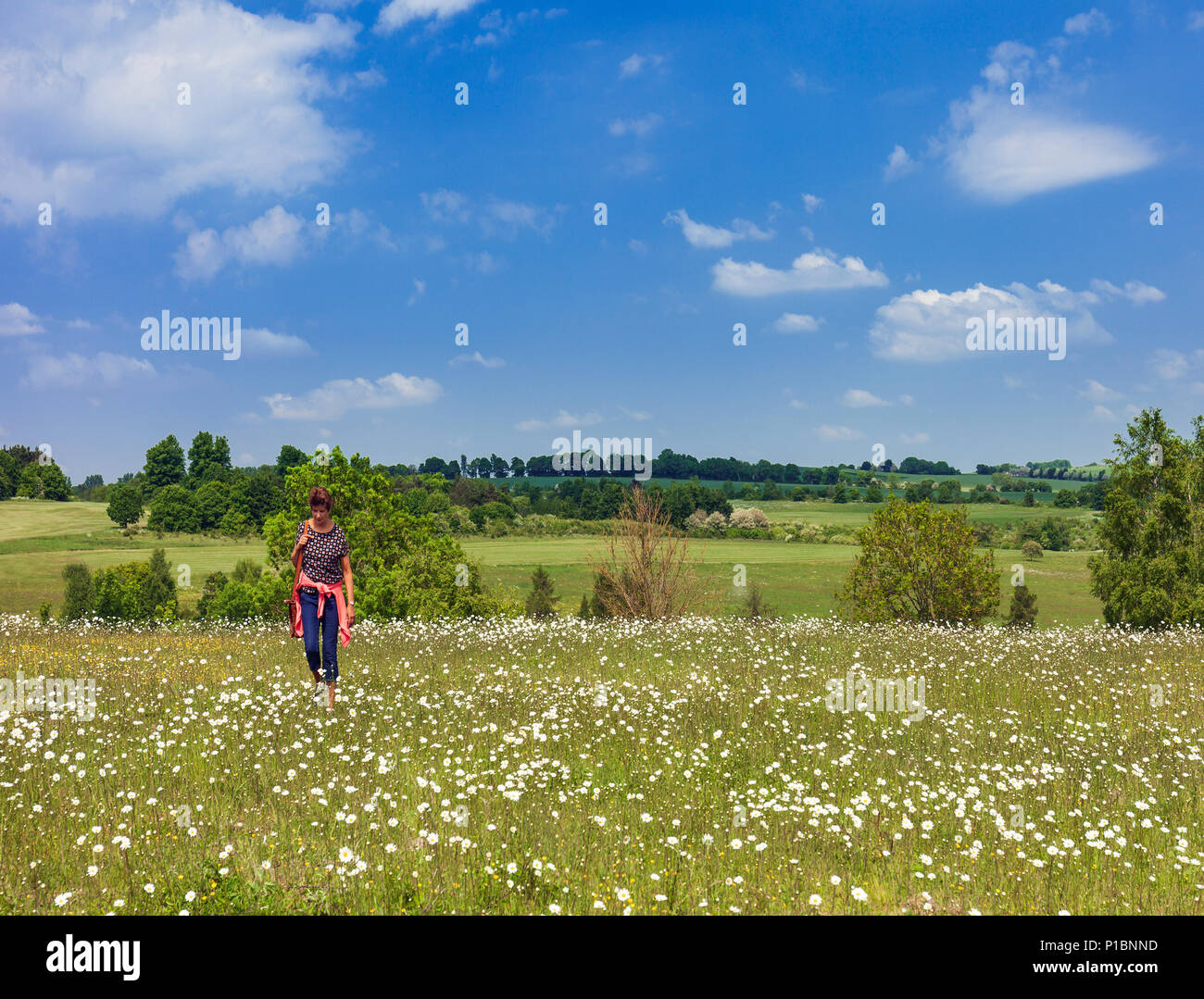 Frau zu Fuß durch eine Wilde Blumenwiese, Lullingstone, Kent, Großbritannien. Stockfoto