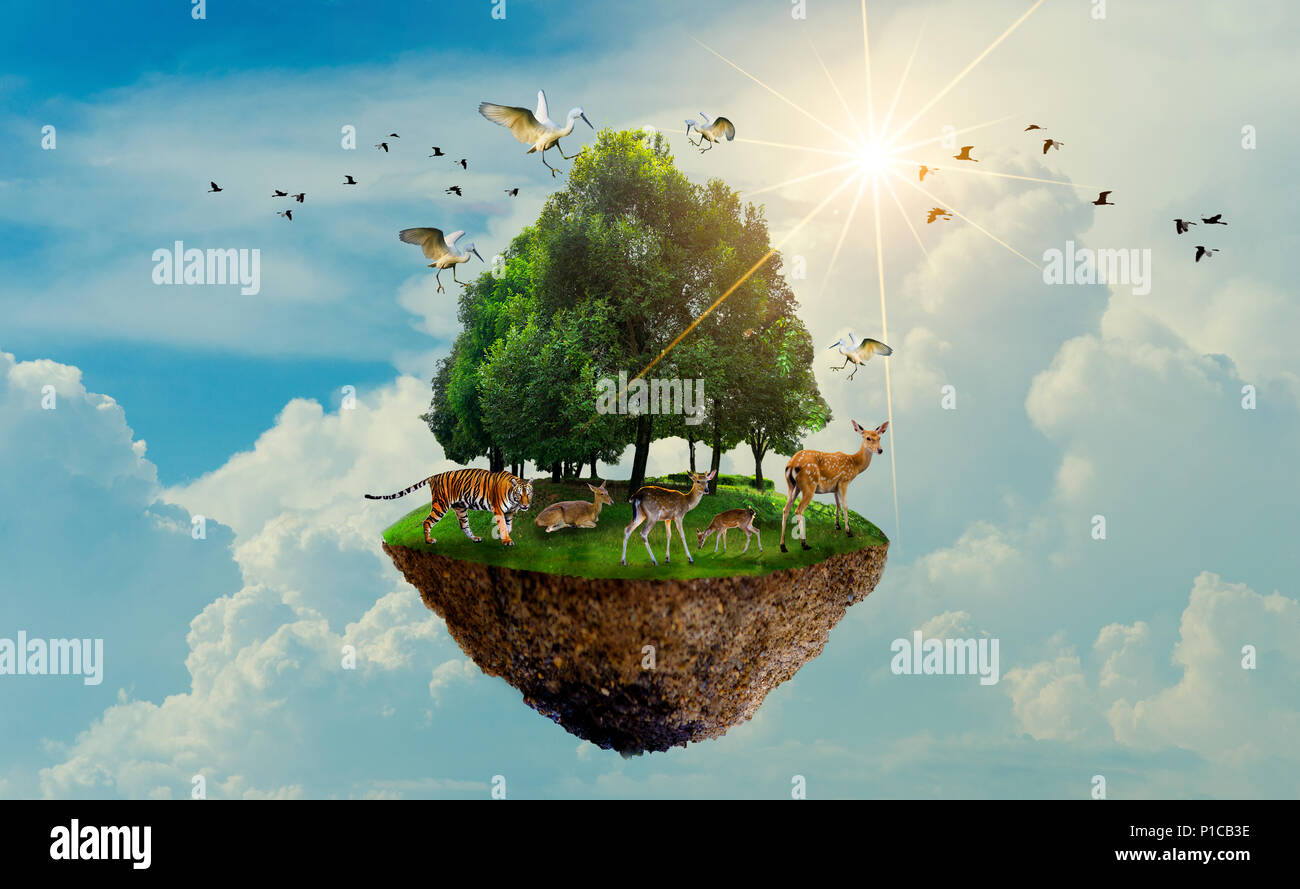 Wald Baum Wildlife tiger Wild Bird Island im Himmel schweben World Environment Day World Conservation Tag Tag der Erde Stockfoto