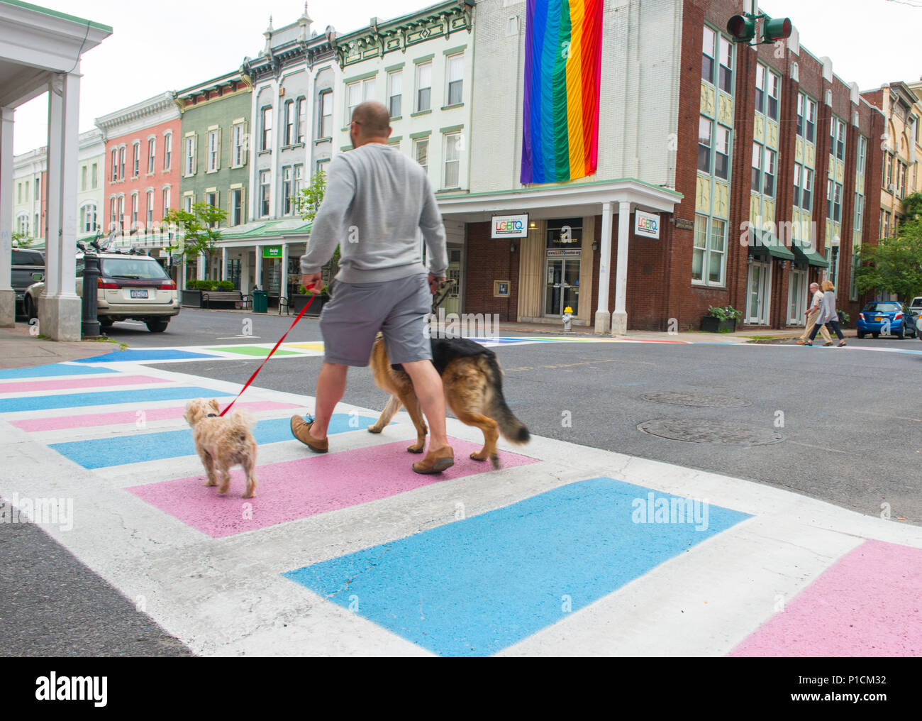 Ein Mann seine Hunde, außerhalb des Hudson Valley LGBTQ Community Centre in Kingston, New York, die fussgängerstreifen sind mit den Farben der Gay Pride und transgender Flagge bemalt, und der ursprüngliche Gay Pride flag sporting acht Farben Fliegen außerhalb der Unternehmenszentrale Stockfoto