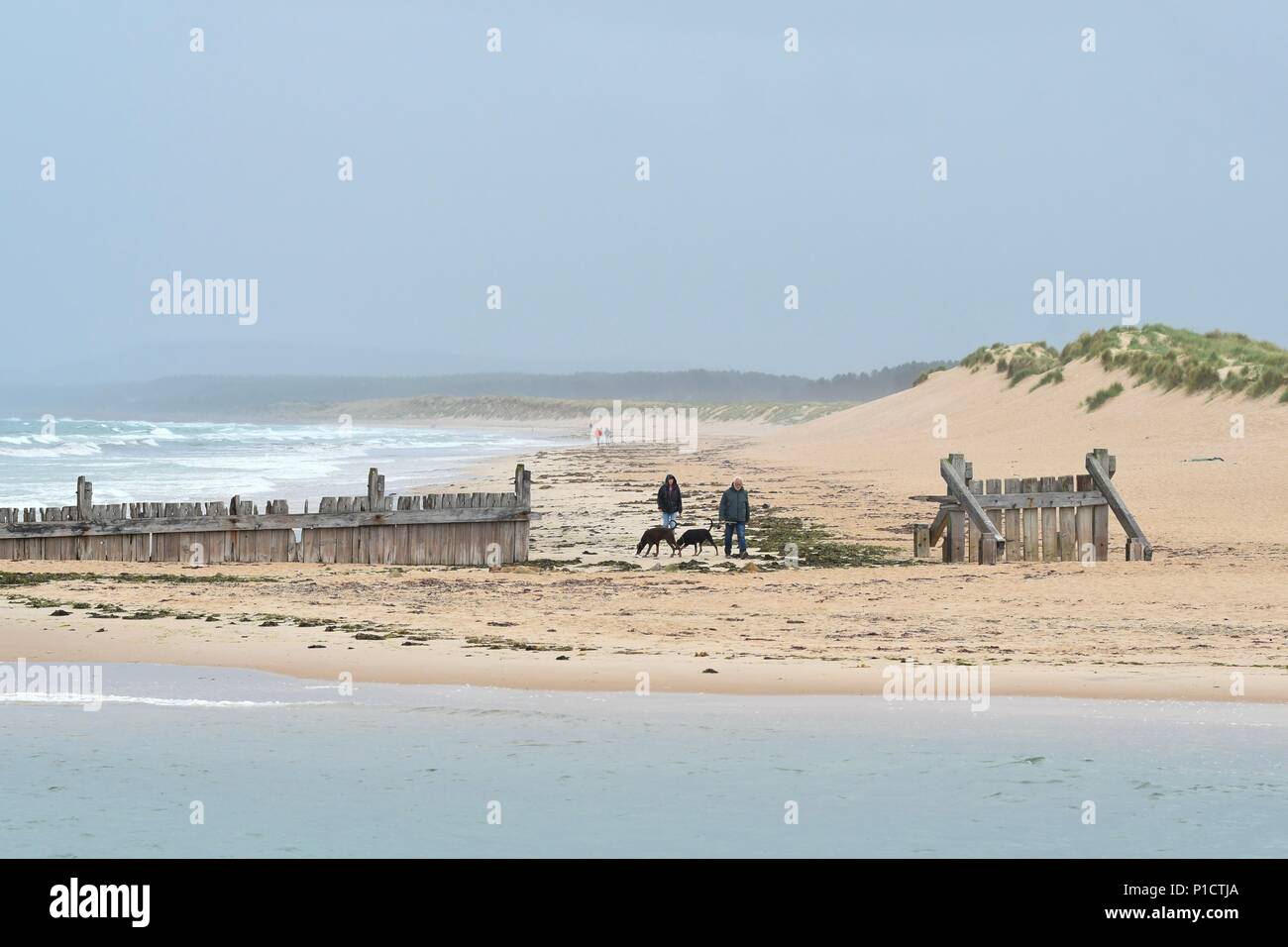 Lossiemouth, Schottland, Vereinigtes Königreich: 12. Juni 2018: UK Wetter - Hund Spaziergänger am Strand von Lossiemouth, Moray, Schottland mit bedecktem Himmel overhead Credit: Kay Roxby/Alamy leben Nachrichten Stockfoto