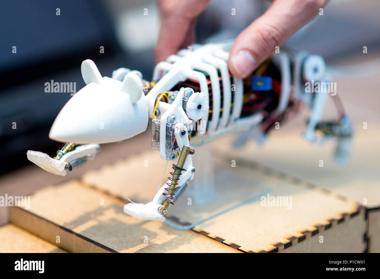 12 Juni 2018, Hannover, Deutschland: Eine so genannte neuro-Roboter in Form einer Maus steht auf dem Stand des Human Brain Project (HBP) bei der Digitalisierung Messe Cebit. Die Cebit versucht, einen neuen Anfang mit einer 'Festival' Format vom 11. bis 15. Juni nach drei Jahrzehnten. Foto: Hauke-Christian Dittrich/dpa Stockfoto