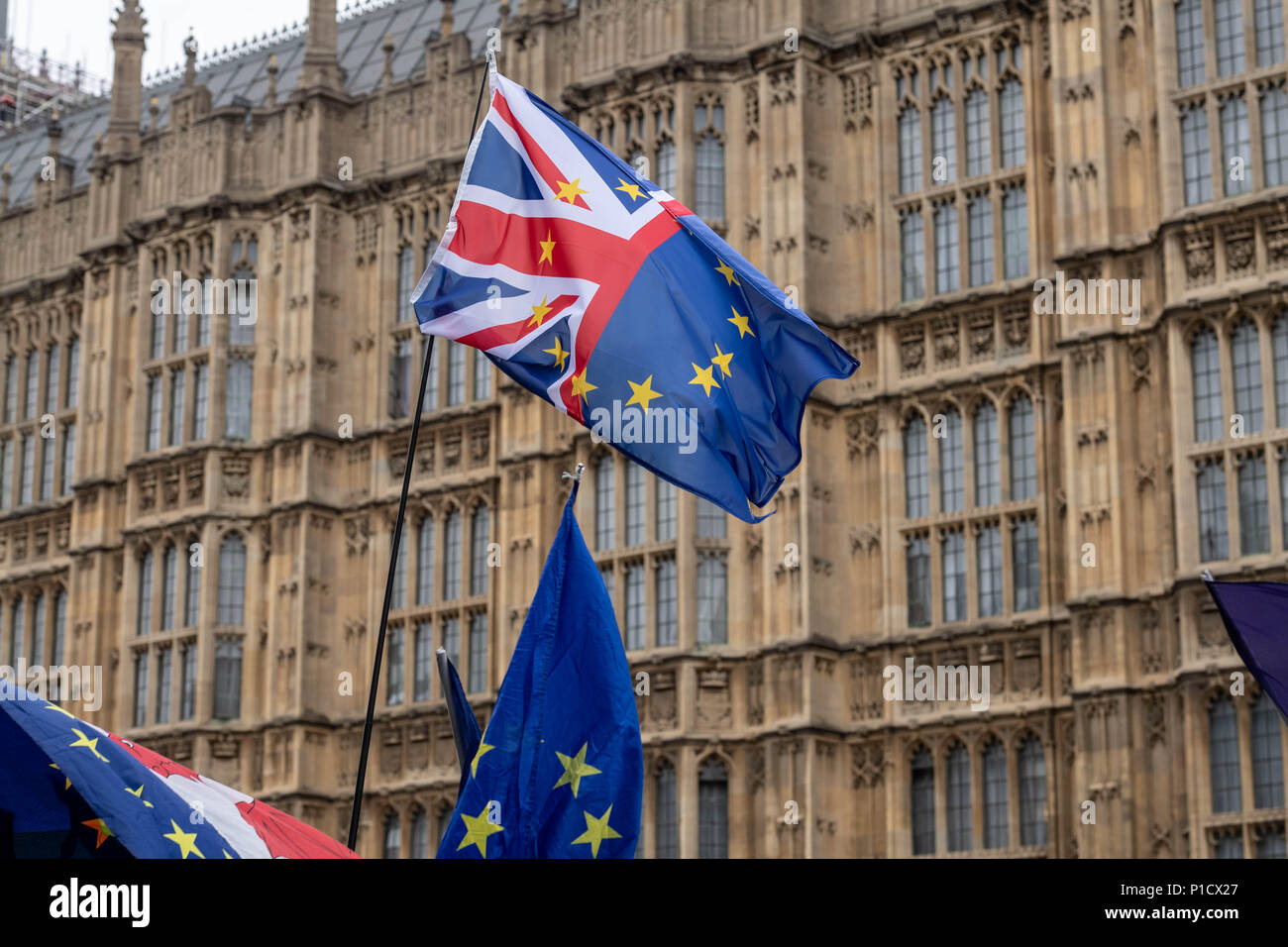 London, 12. Juni 2018, Brexit Protest vor dem Unterhaus in London Credit Ian Davidson/Alamy leben Nachrichten Stockfoto