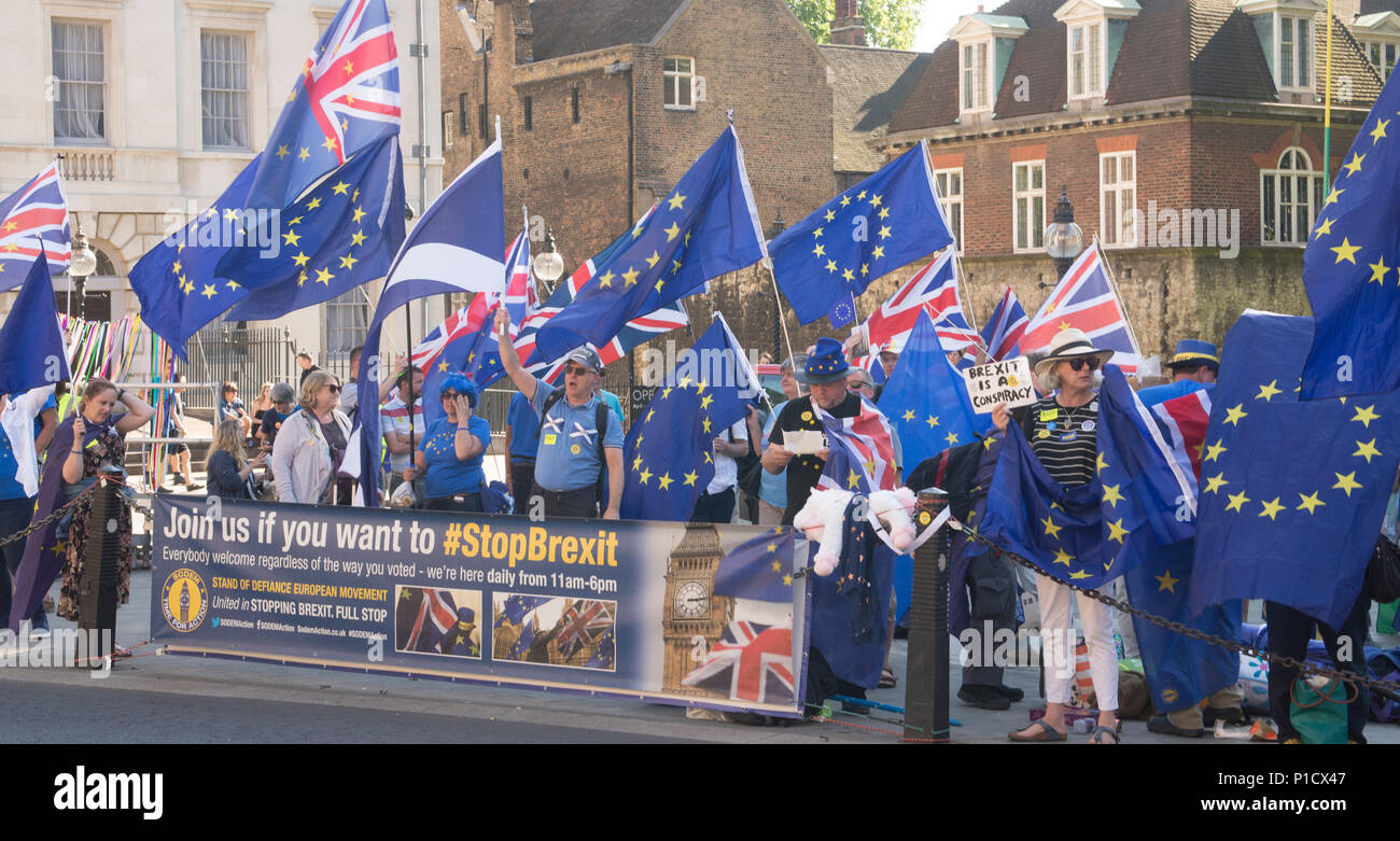 London, Großbritannien. 11. Juni 2018 - London - Anti brexit Protest organisiert durch Stop Brexit Ltd, Nr. 10 Vigil, EU-Flagge Mafia und SODEM. Der Protest ist der Artikel 50 Herausforderung, kommt am 12. Juni 2018, in der vorgeschlagen wird, dass die Berufung auf Artikel 50 der EU war illegal zu verlassen, weil die Entscheidung, die EU zu verlassen nie vom Parlament verabschiedet wurde, zu unterstützen. Dieser Teil der Veranstaltung fand gegenüber dem Parlamentsgebäude. Weitere Informationen von Rachel@stopbrexitmarch.com # Nr. 10 Mahnwache#remainathon. Quelle: Bruce Tanner/Alamy leben Nachrichten Stockfoto