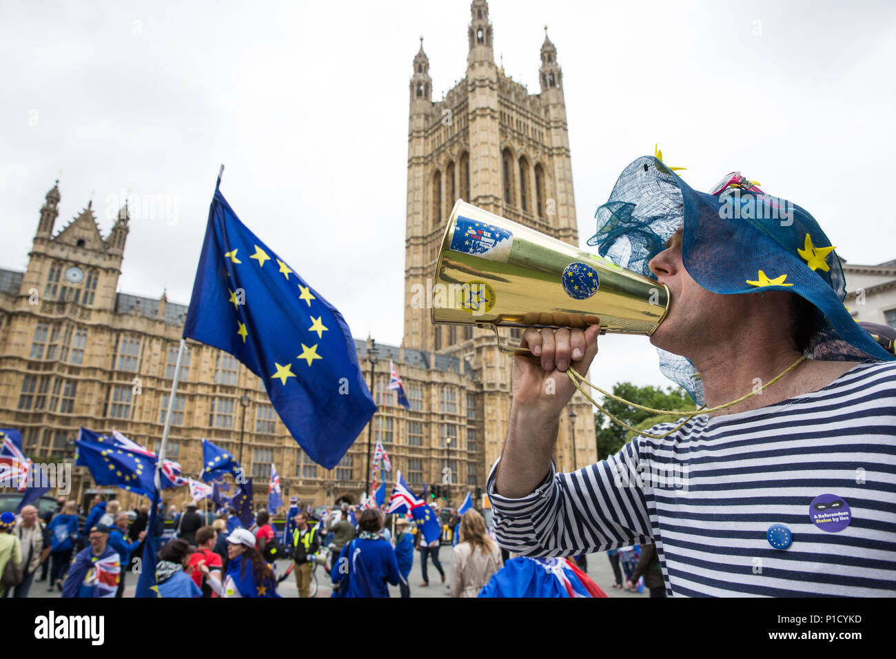 London, Großbritannien. 12 Juni, 2018. Pro-EU-Aktivisten gegenüber Parlament am Tag der House of Commons Abstimmung über die vom House of Lords in die EU Rückzug Bill vorgeschlagenen demonstrieren. Credit: Mark Kerrison/Alamy leben Nachrichten Stockfoto