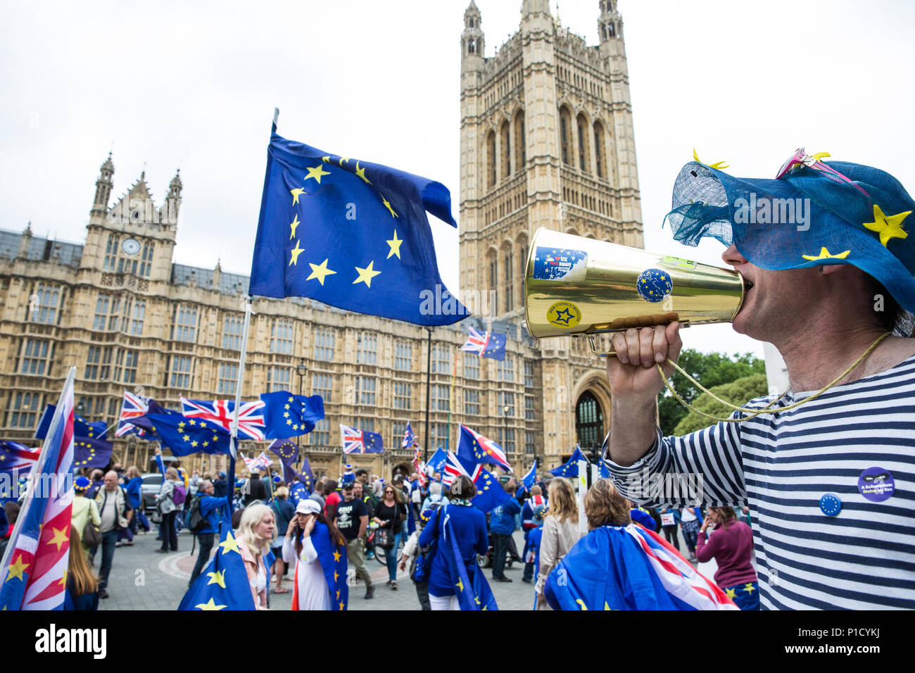 London, Großbritannien. 12 Juni, 2018. Pro-EU-Aktivisten gegenüber Parlament am Tag der House of Commons Abstimmung über die vom House of Lords in die EU Rückzug Bill vorgeschlagenen demonstrieren. Credit: Mark Kerrison/Alamy leben Nachrichten Stockfoto