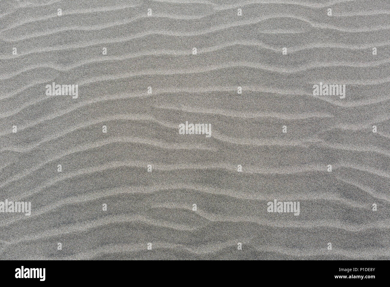 Windswept Sanddüne Wellenlinien Muster auf Sandstrand Hintergrund Stockfoto