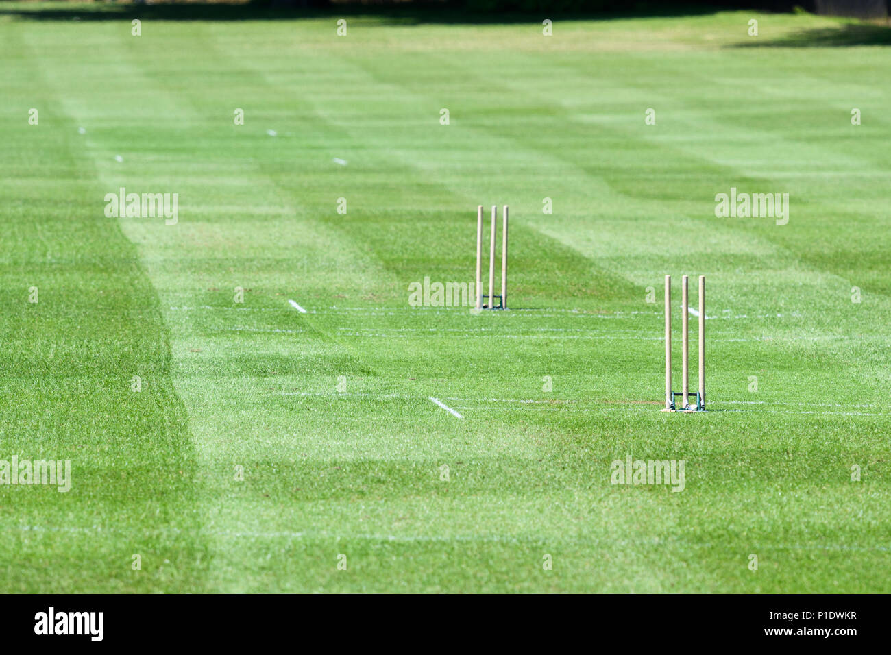 Stümpfe auf dem cricketplatz am Spielfeld (wie Merton Feld bekannt) des Christ Church College der Universität Oxford, England. Stockfoto