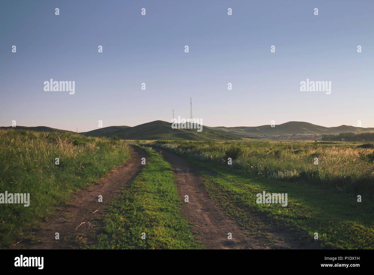 Straße im Feld. Die natürliche Landschaft. Sommer Hintergrund. Steppe Horizont. Stockfoto