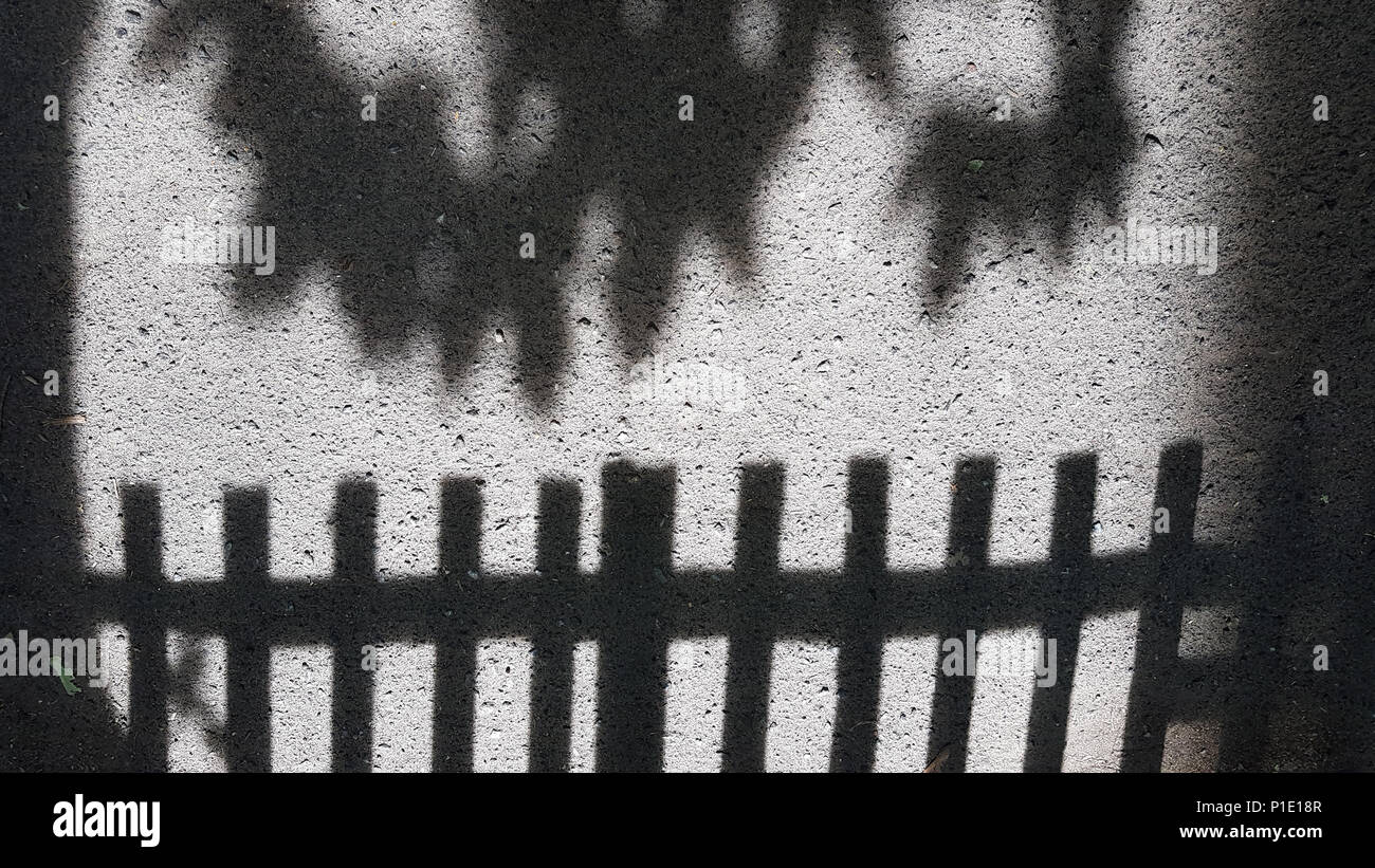 Zusammenfassung Hintergrund eines schwarzen Schatten von einem Zaun von unten und ein Schatten von Laub von oben auf grauem Asphalt. Stockfoto