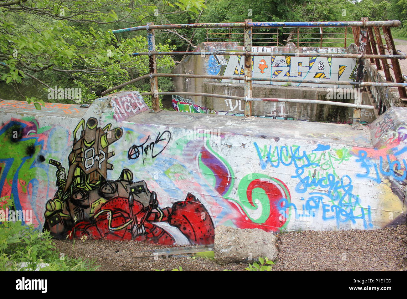 Szene aus Graffiti Bridge in Chicago's La Bagh Woods. Stockfoto
