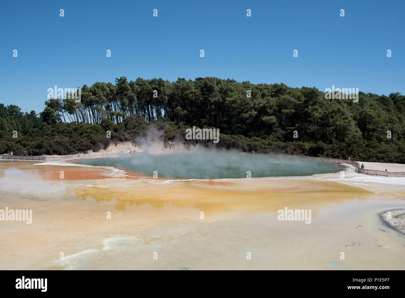 Rotorua, Neuseeland. Geothermische Aktivität im Wai-O-Tapu Stockfoto